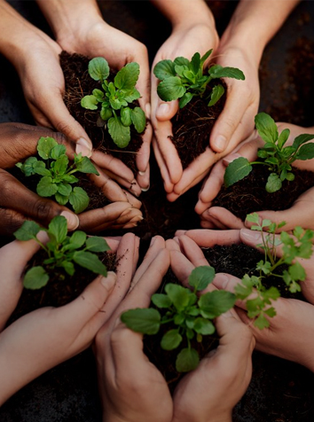 Contribute to meaningful projects